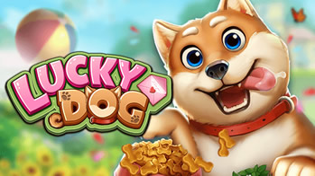 Lucky Dog